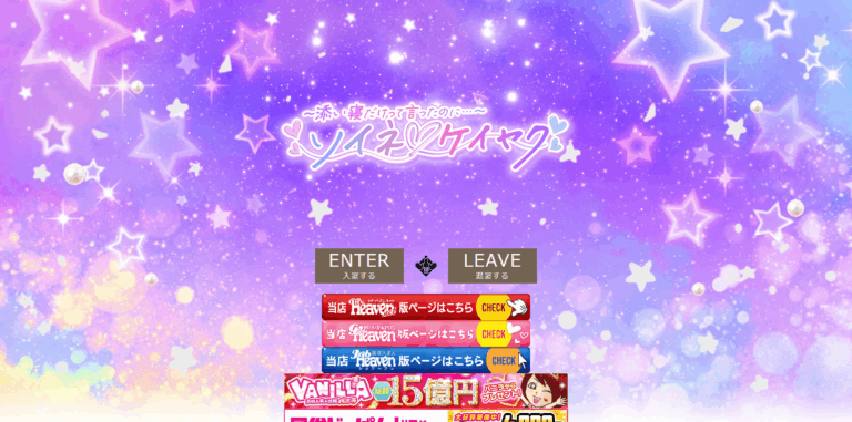 ソイネケイヤク　※閉店