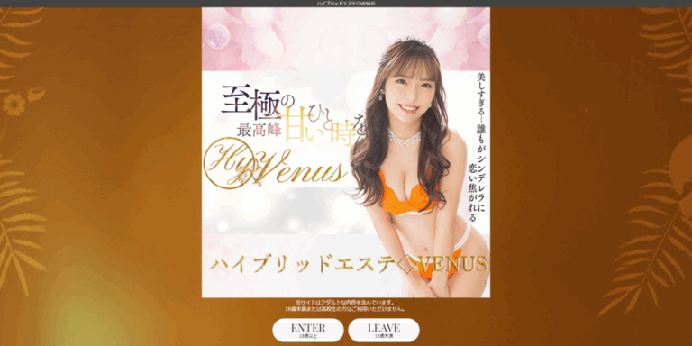 ハイブリッドエステ◇VENUS　※閉店