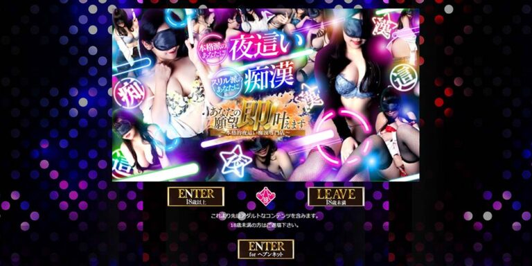 あなたの願望 即！叶えます～本格的夜這い痴漢専門店～
