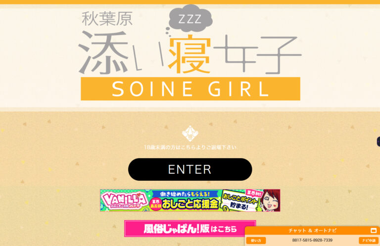 秋葉原添い寝女子 東京 / オナクラ
