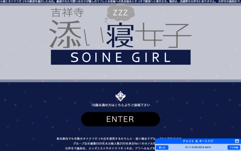 吉祥寺添い寝女子 東京 / オナクラ