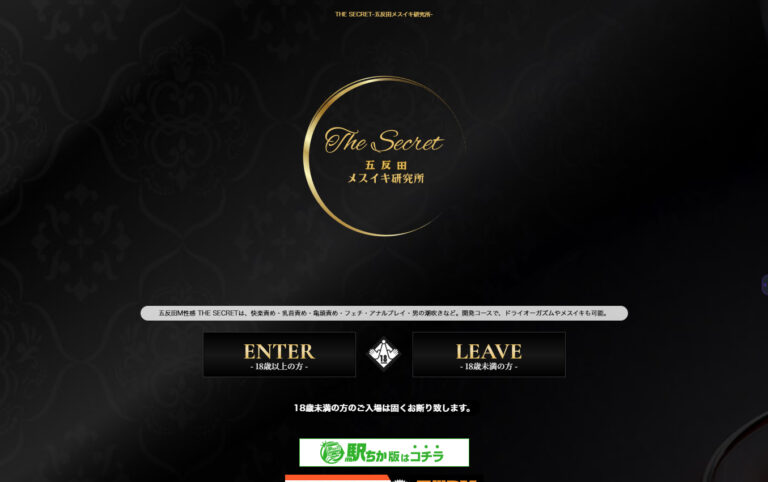 THE SECRET-五反田メスイキ研究所- 東京 / M性感