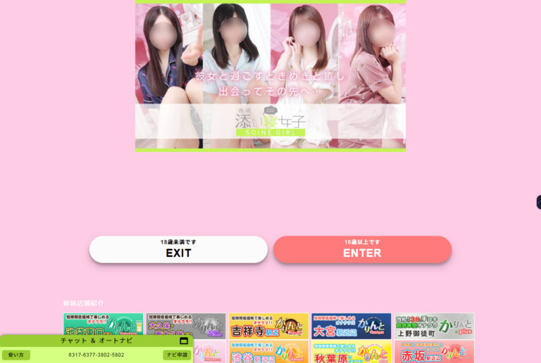 赤坂添い寝女子 東京 / オナクラ