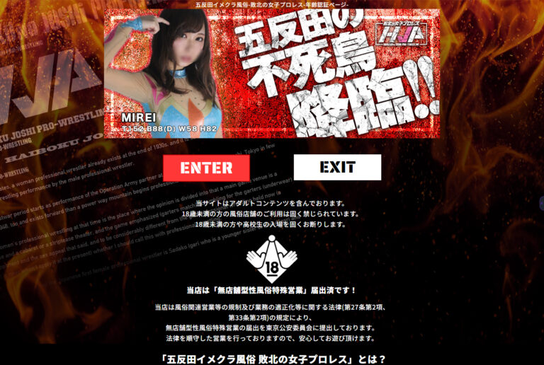 敗北の女子プロレス 東京 /  デリヘル
