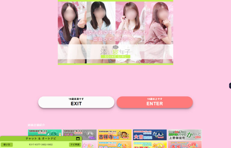 赤坂添い寝女子 東京 / オナクラ