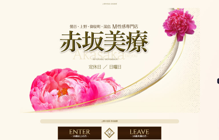 赤坂美療 東京 / M性感