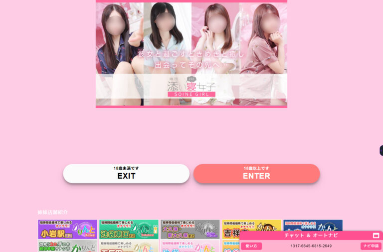 神田添い寝女子 東京 / オナクラ