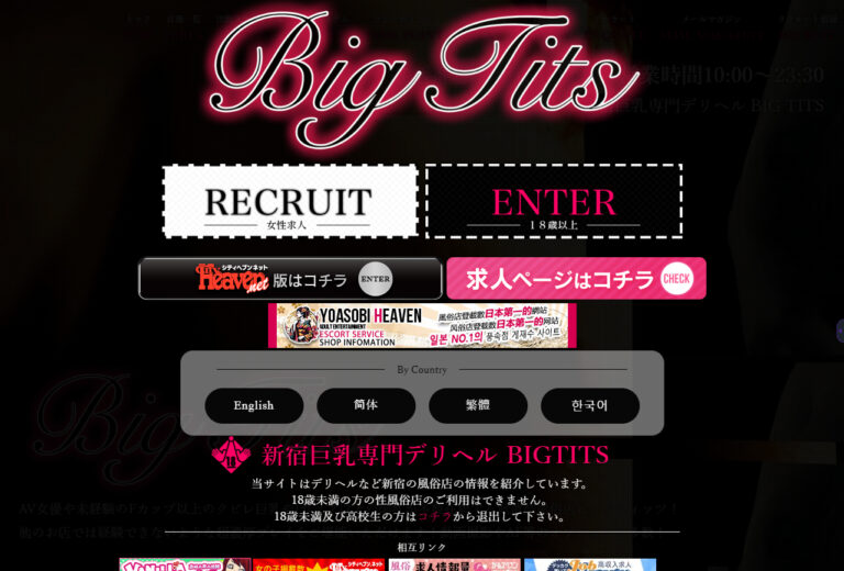 新宿巨乳専門デリヘル BIGTITS -ビッグティッツ- 東京 / デリヘル